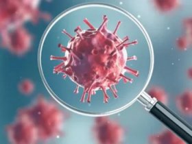 Памятка по предотвращению случаев новой коронавирусной инфекции (2019-nCoV)